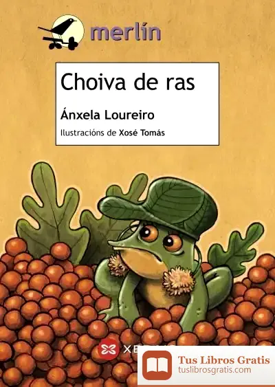 Descargar Choiva De Ras de Xosé Tomás