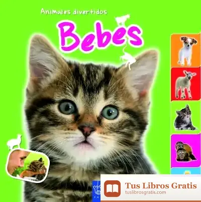 Descargar Bebés